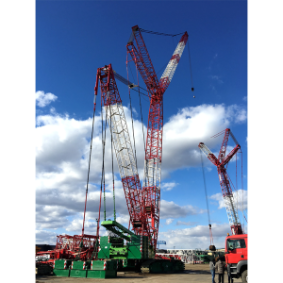 ZOOMLION L250-16 Luffing-jib Tower Crane-2